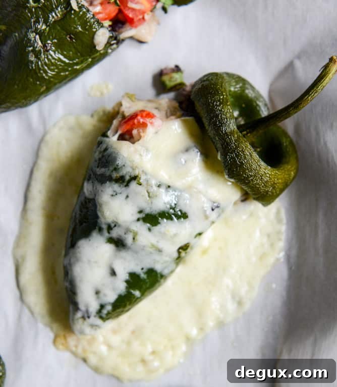 Cheesy Stuffed Poblanos with Melted Cheese Filling 2 cheese smothered stuffed poblanos I howsweeteats.com