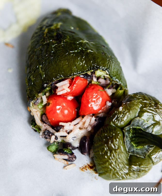 Cheesy Stuffed Poblanos with Melted Cheese Filling 5 cheese smothered stuffed poblanos I howsweeteats.com