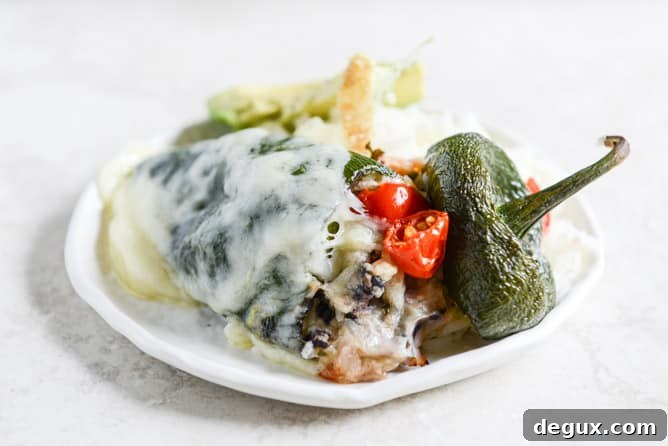 Cheesy Stuffed Poblanos with Melted Cheese Filling 7 cheese smothered stuffed poblanos I howsweeteats.com