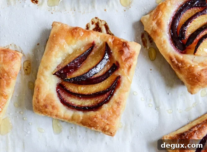 Brown Butter Black Plum Tarts with Sea Salt 5 black plum tarts with brown butter & sea salt I howsweeteats.com
