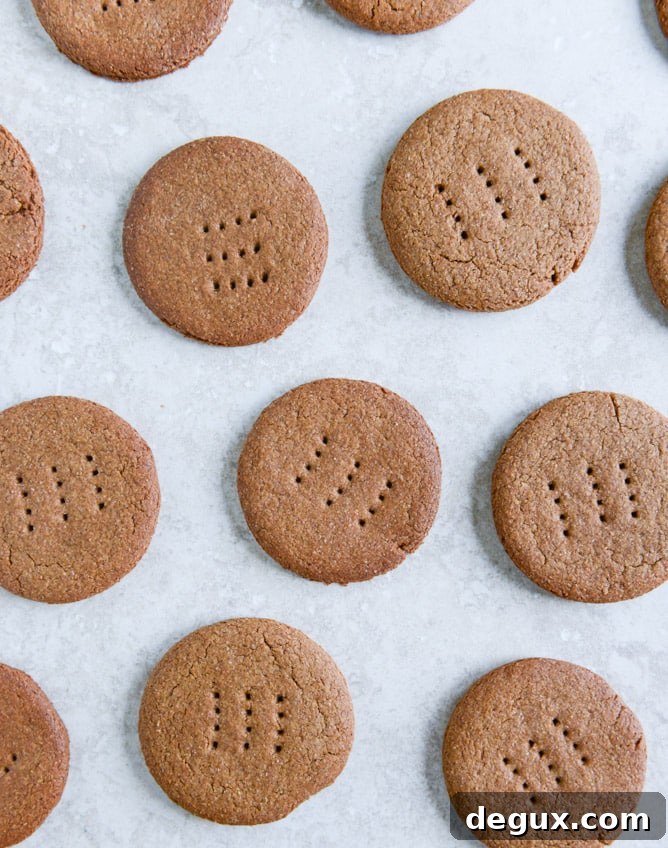 homemade chocolate covered graham crackers I howsweeteats.com