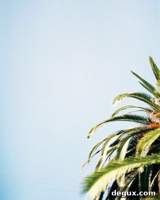 Currently Crushing On: What’s Trending in Celebrity & Style Crushes 2 currently crushing on I howsweeteats.com