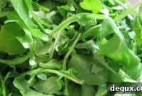 Arugula and Asiago Pesto Recipe for Vibrant Pasta & Sandwichs