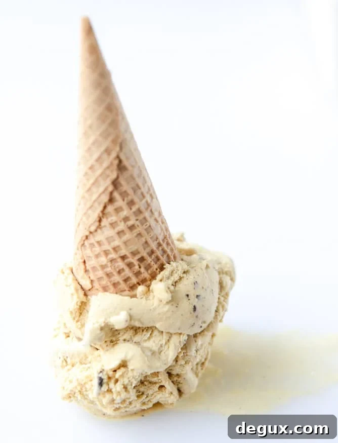 pumpkin gelato with candied ginger and dark chocolate I howsweeteats.com