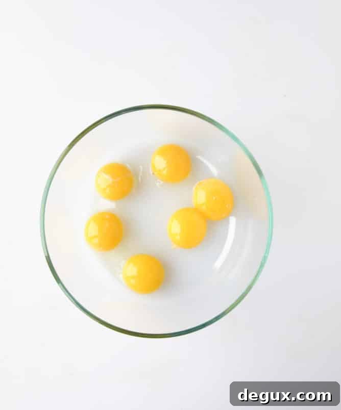 pumpkin gelato with candied ginger and dark chocolate I howsweeteats.com