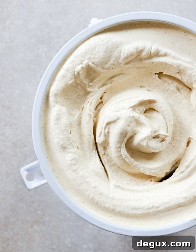 pumpkin gelato with candied ginger and dark chocolate I howsweeteats.com