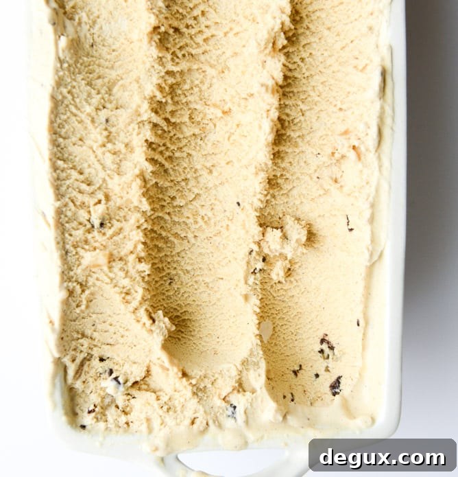 pumpkin gelato with candied ginger and dark chocolate I howsweeteats.com