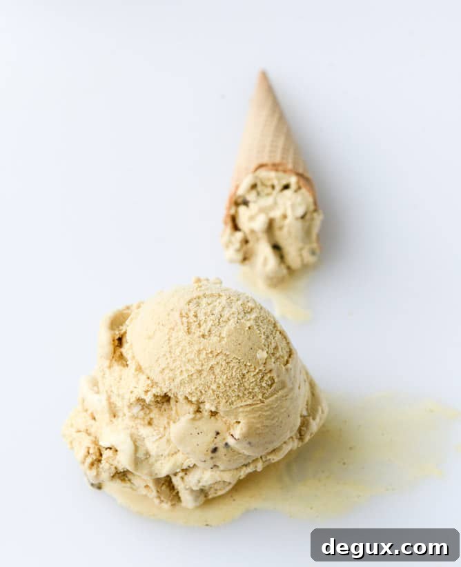 pumpkin gelato with candied ginger and dark chocolate I howsweeteats.com