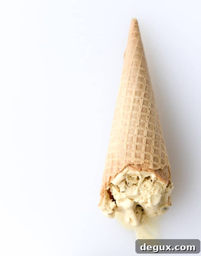 pumpkin gelato with candied ginger and dark chocolate I howsweeteats.com