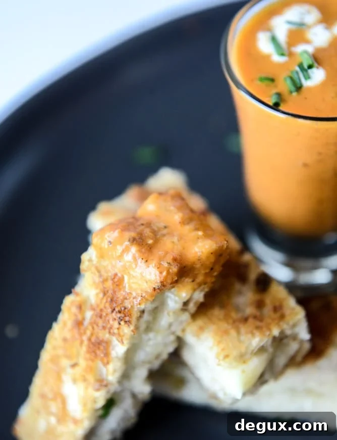 Creamy Tomato Soup Shooters with Crispy Grilled Cheese Sticks (Video) 9 creamy tomato soup shooters with three cheese grilled cheese sticks I howsweeteats.com