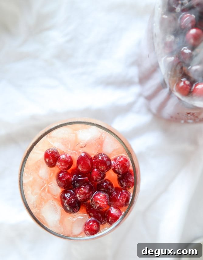 Sparkling Cranberry Cider Punch Recipe (Video Tutorial) 9 cider cranberry punch I howsweeteats.com