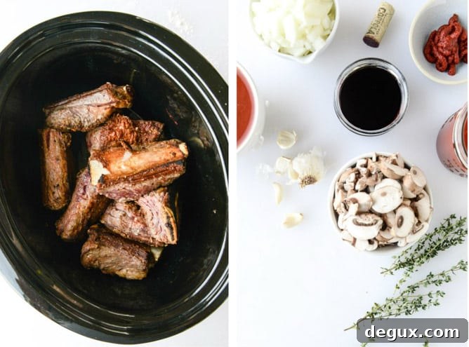 Bucatini with Slow-Cooked Short Rib Sauce 3 Slow Cooker Short Rib Sauce with Bucatini I howsweeteats.com