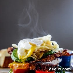 Roasted Turkey BLAT Sandwich with Crispy Potato Chips 7 img 40674 6