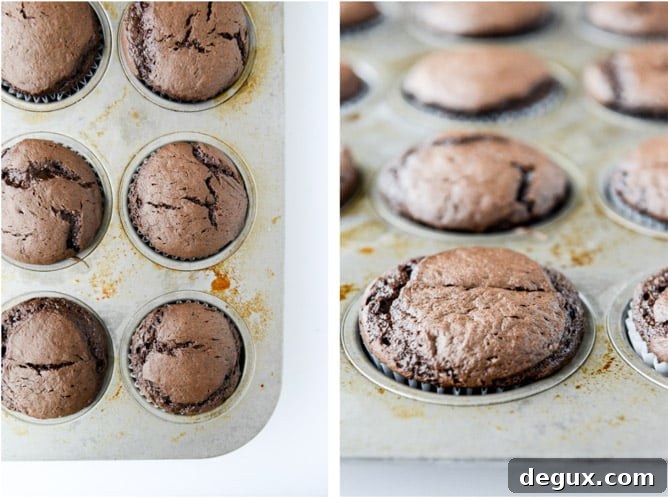 Chocolate Coconut Cream Cupcakes Recipe for Decadent Dessert 6 chocolate coconut cream cupcakes I howsweeteats.com