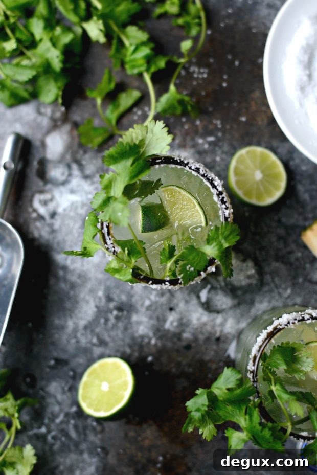 Cilantro-Lime Margarita Recipe: Fresh Twist on a Classic 11 Cilantro Lime Margaritas l SimplyScratch.com (10)