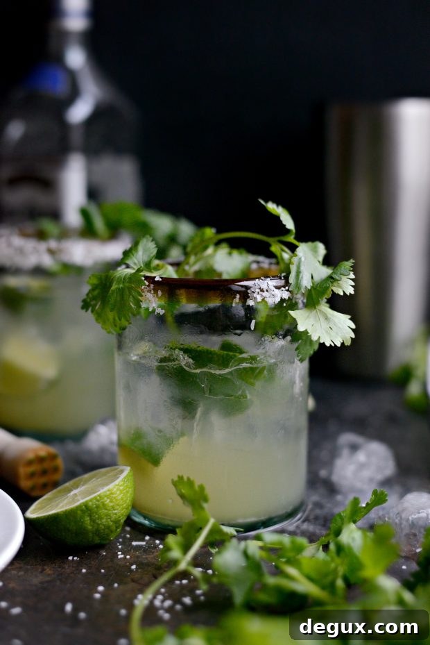 Cilantro-Lime Margarita Recipe: Fresh Twist on a Classic 13 Cilantro Lime Margaritas l SimplyScratch.com (11)