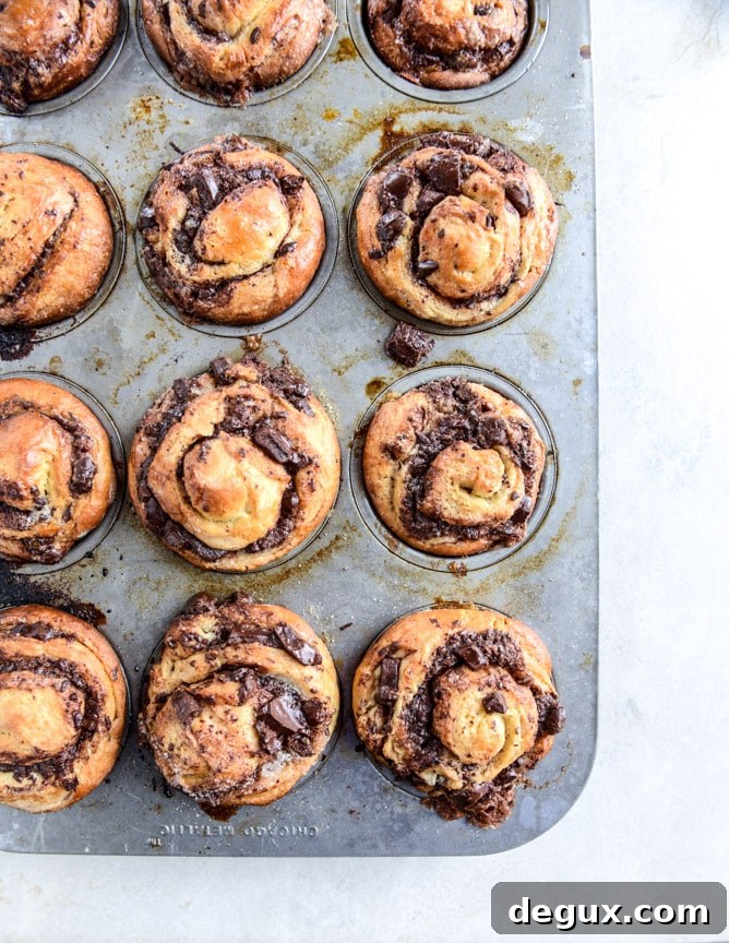chocolate cinnamon babka muffins I howsweeteats.com