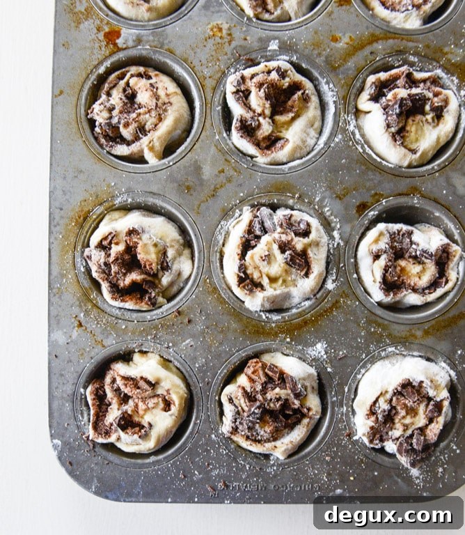 chocolate cinnamon babka muffins I howsweeteats.com