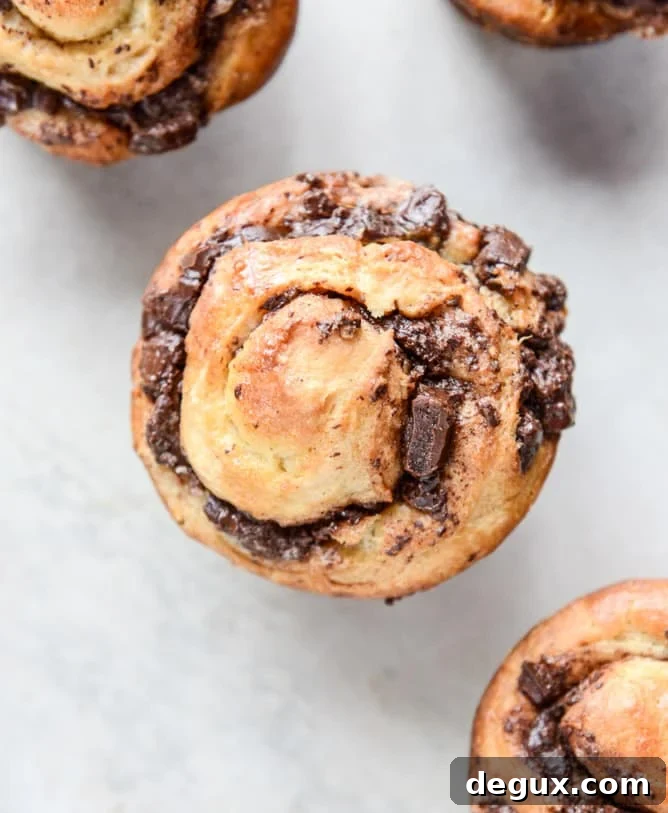 chocolate cinnamon babka muffins I howsweeteats.com