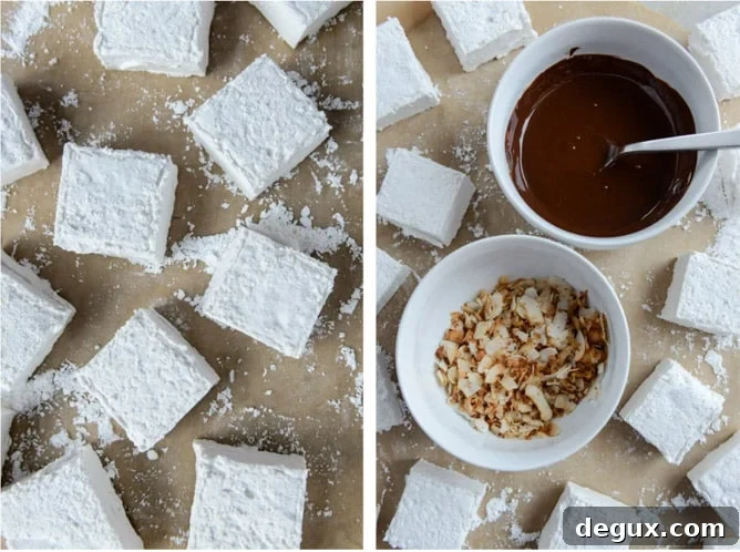 chocolate covered coconut marshmallows I howsweeteats.com