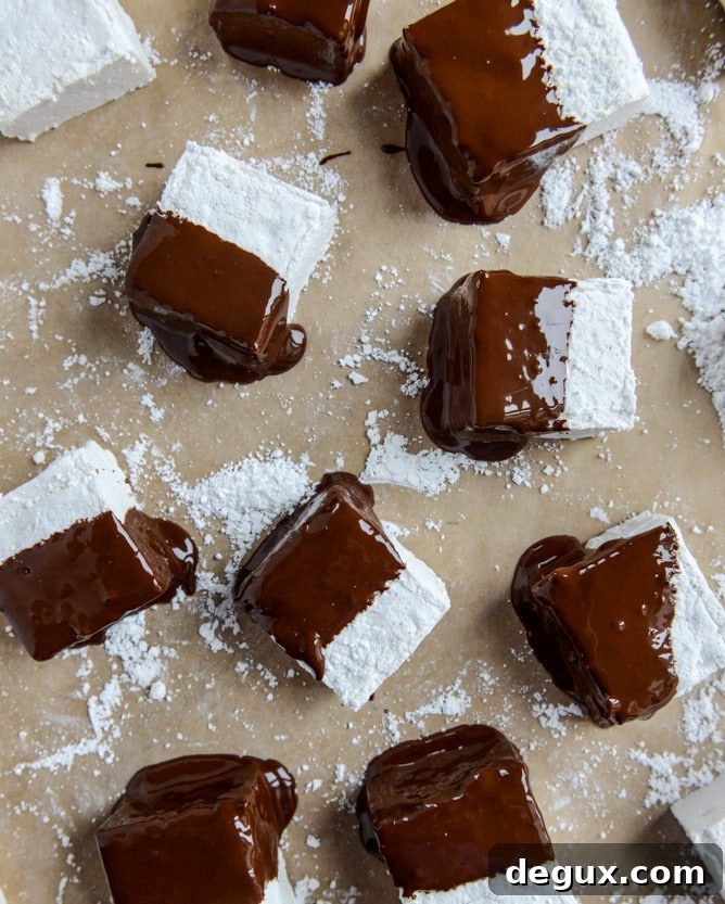 chocolate covered coconut marshmallows I howsweeteats.com