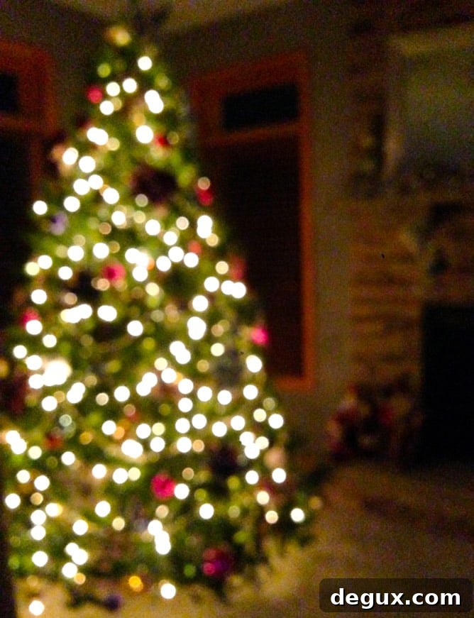 Merry Christmas: Festive Wishes, Traditions, and Gift Ideas 2 christmas I howsweeteats.com