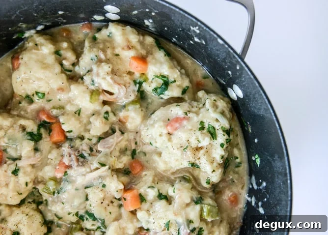 chicken + dumplings I howsweeteats.com