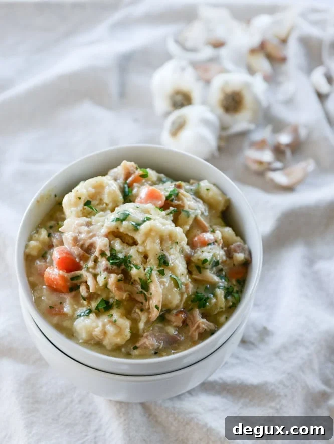 chicken + dumplings I howsweeteats.com