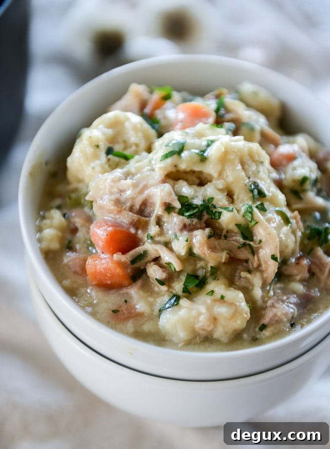 chicken + dumplings I howsweeteats.com