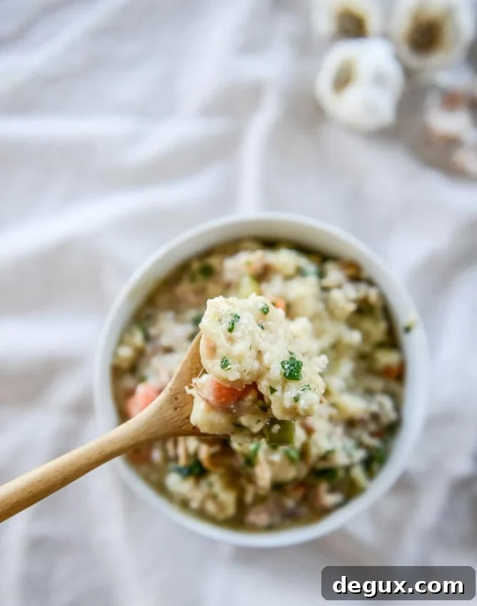 chicken + dumplings I howsweeteats.com