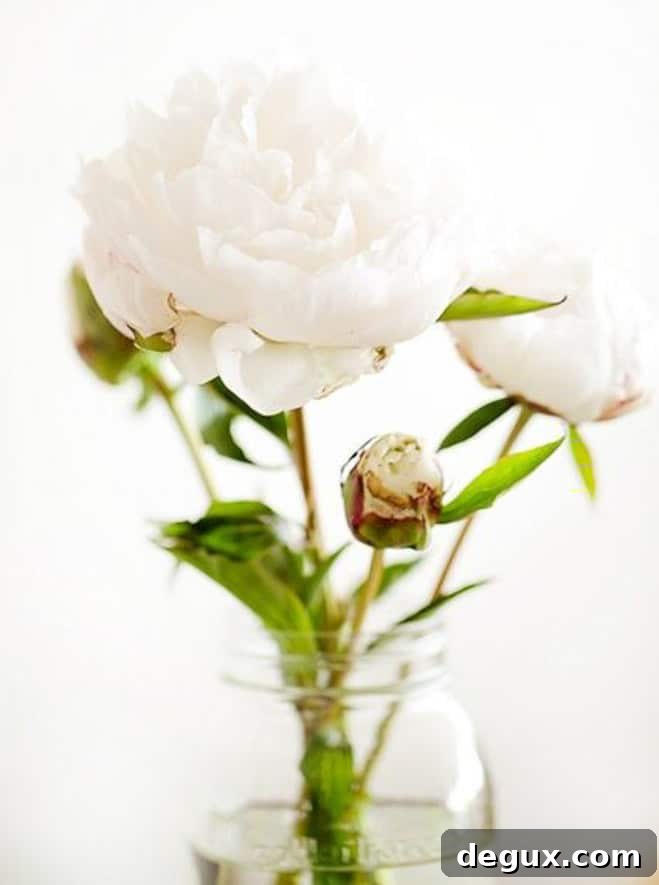 Currently Crushing On: Who I'm Obsessed With Right Now 2 currently crushing on I howsweeteats.com