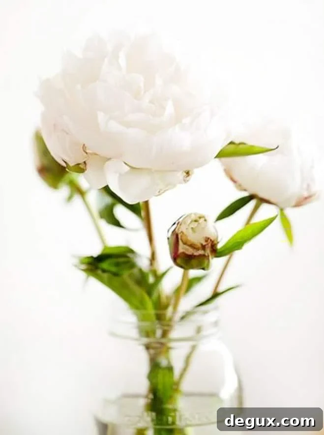 currently crushing on I howsweeteats.com