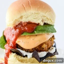 Chipotle Salmon Sliders with Crispy Tortilla Crust 7 img 41572 6