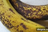 Banana Chocolate Chip Cookie Recipe for Soft, Chewy Cookies