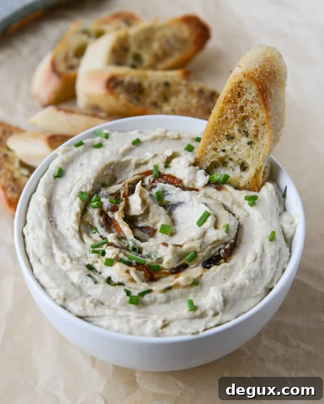 homemade french onion dip I howsweeteats.com