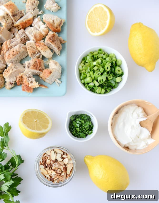 lemon almond roast chicken salad I howsweeteats.com