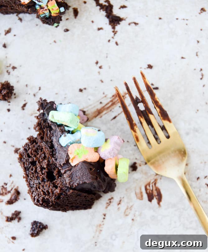 One-Bowl Whiskey Chocolate Fudge Cake Recipe 11 one bowl fudgy whiskey chocolate cake - with irish cream chocolate ganache (and lucky charms marshmallows...) I howsweeteats.com