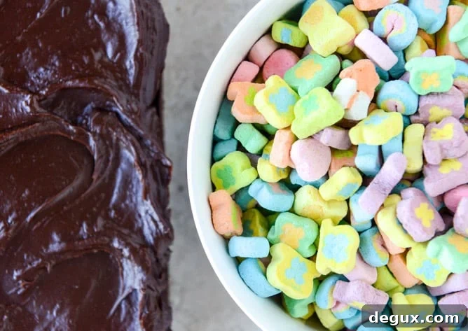 One-Bowl Whiskey Chocolate Fudge Cake Recipe 6 one bowl fudgy whiskey chocolate cake - with irish cream chocolate ganache (and lucky charms marshmallows...) I howsweeteats.com