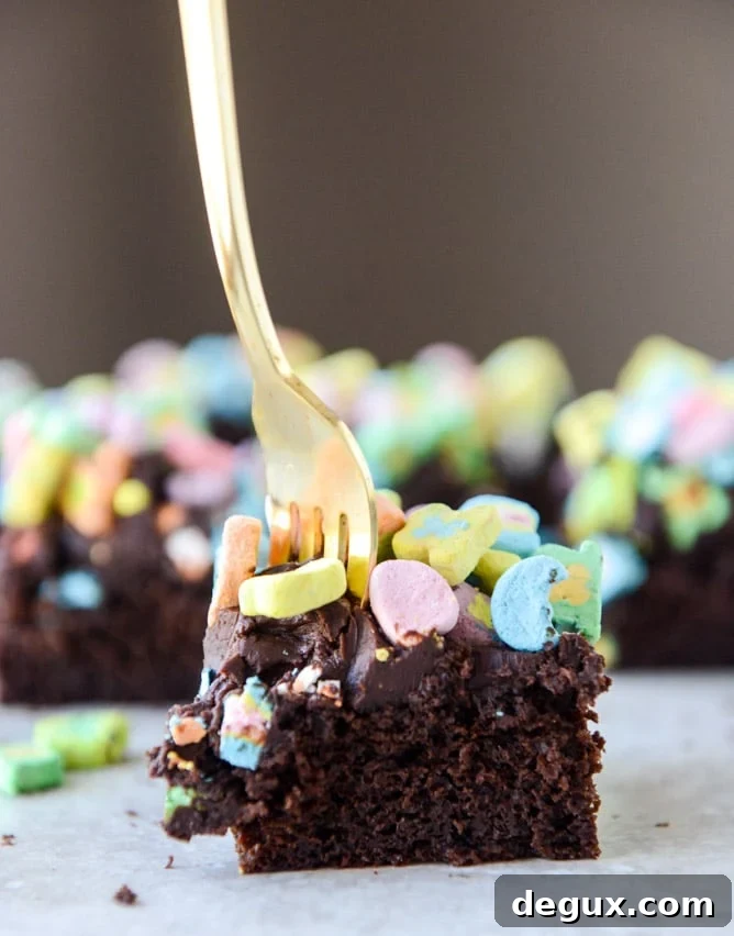 One-Bowl Whiskey Chocolate Fudge Cake Recipe 9 one bowl fudgy whiskey chocolate cake - with irish cream chocolate ganache (and lucky charms marshmallows...) I howsweeteats.com