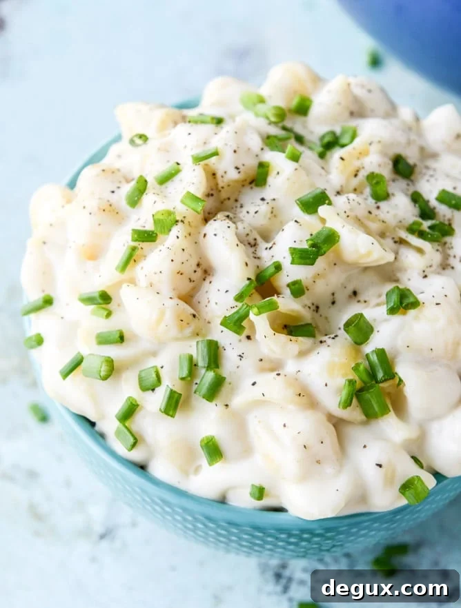 Stovetop Goat Cheese Shells Recipe: Creamy One-Pan Dinner 5 stovetop goat cheese shells and cheese I howsweeteats.com