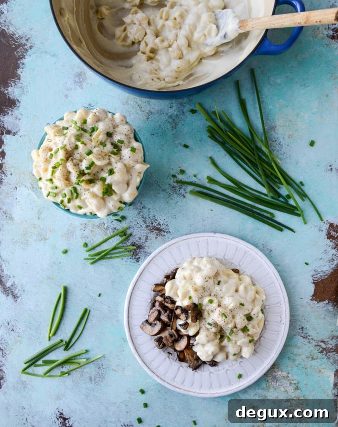 Stovetop Goat Cheese Shells Recipe: Creamy One-Pan Dinner 7 stovetop goat cheese shells and cheese I howsweeteats.com