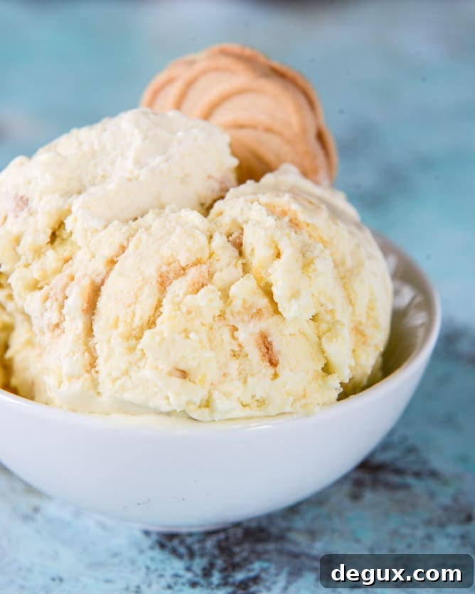 Lemon Cookie Gelato Recipe: Creamy Citrus Cookie Ice Cream 2 lemon cookie gelato I howsweeteats.com