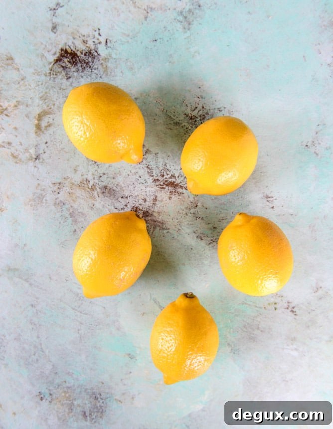 Lemon Cookie Gelato Recipe: Creamy Citrus Cookie Ice Cream 3 lemon cookie gelato I howsweeteats.com