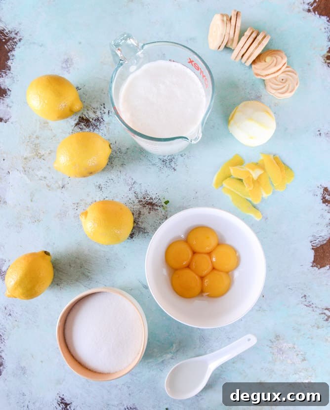 Lemon Cookie Gelato Recipe: Creamy Citrus Cookie Ice Cream 4 lemon cookie gelato I howsweeteats.com