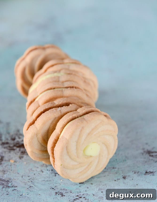 Lemon Cookie Gelato Recipe: Creamy Citrus Cookie Ice Cream 6 lemon cookie gelato I howsweeteats.com