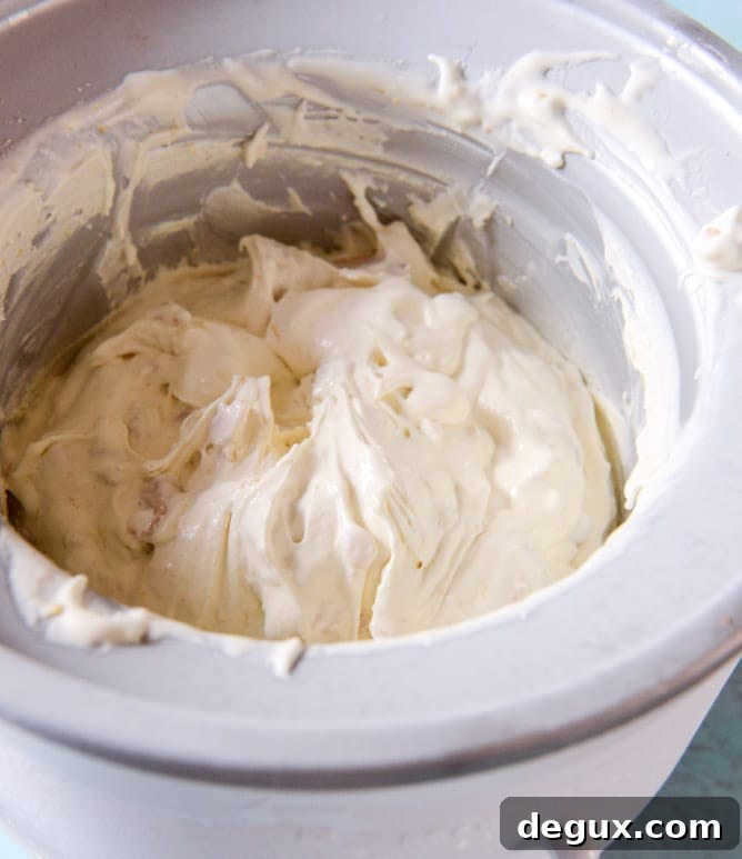 Lemon Cookie Gelato Recipe: Creamy Citrus Cookie Ice Cream 7 lemon cookie gelato I howsweeteats.com