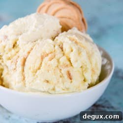 Lemon Cookie Gelato Recipe: Creamy Citrus Cookie Ice Cream 8 img 41959 7