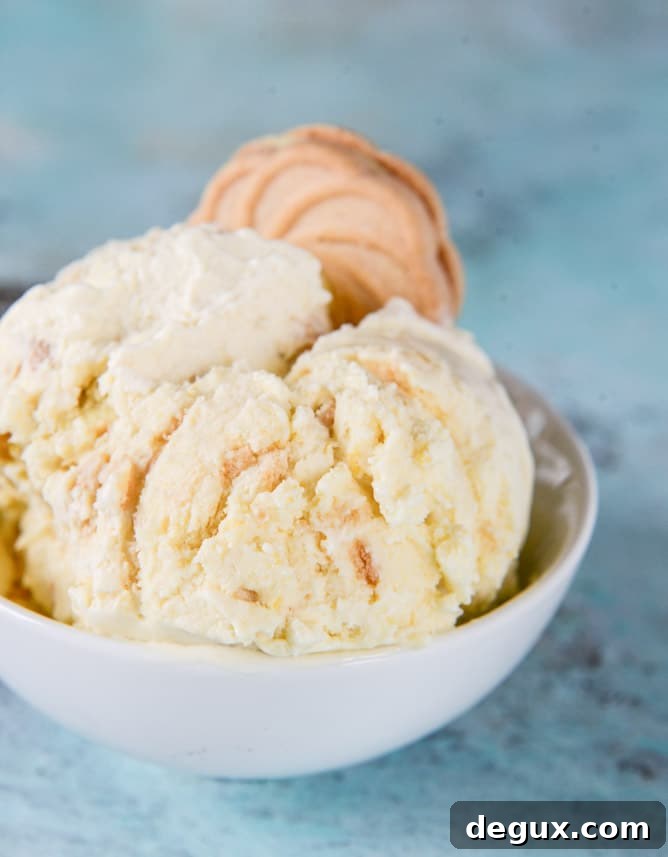 Lemon Cookie Gelato Recipe: Creamy Citrus Cookie Ice Cream 9 lemon cookie gelato I howsweeteats.com
