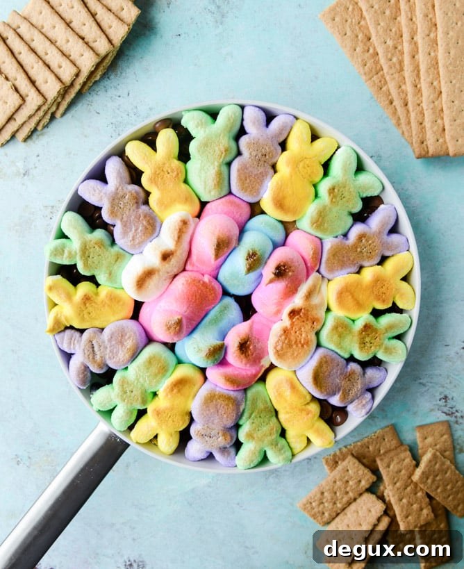 Chocolate Peanut Butter PEEPS Skillet S'mores (Video) 6 Peeps skillet s'mores! Indoor chocolate peanut butter s'mores using Peeps marshmallows make for the cutest spring treat! Best for using up those Peeps! I howsweeteats.com #peeps #smores