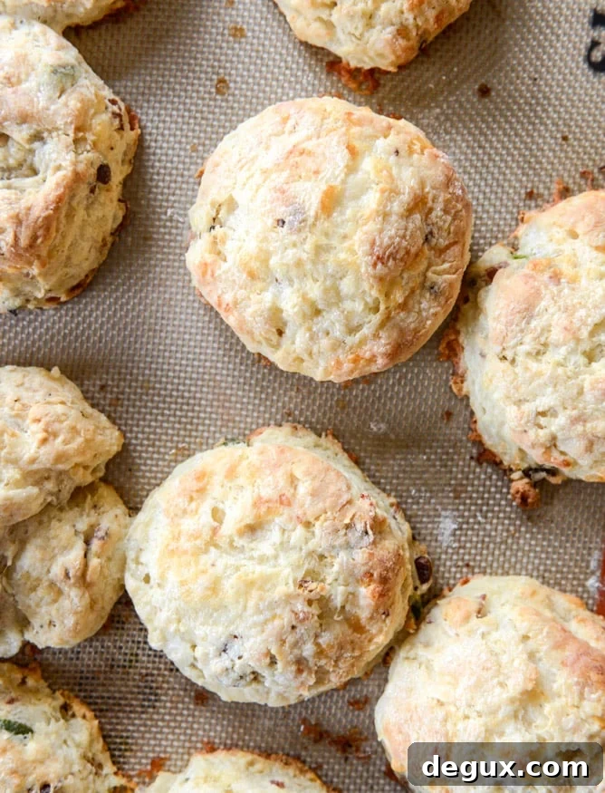 Jalapeño Bacon Havarti Breakfast Biscuits with Peppery Arugula 5 havarti breakfast biscuits with jalapeno, bacon and arugula I howsweeteats.com